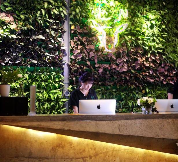 בית מלון כפרי Sanya Neo Inn