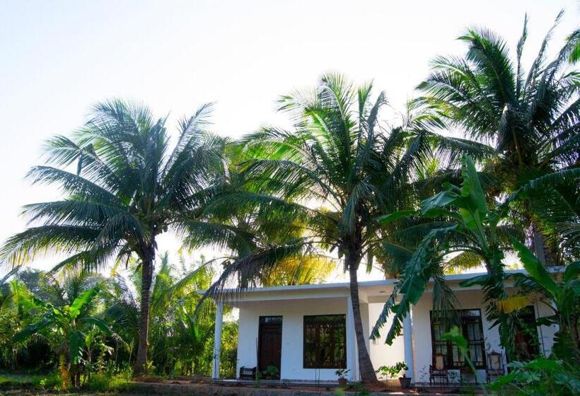 Bed and Breakfast Shady Mango Villa