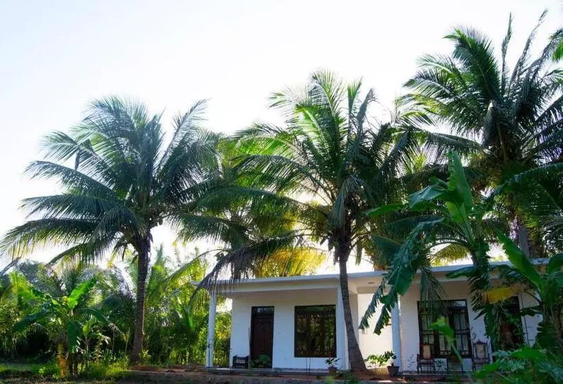 Bed and Breakfast Shady Mango Villa