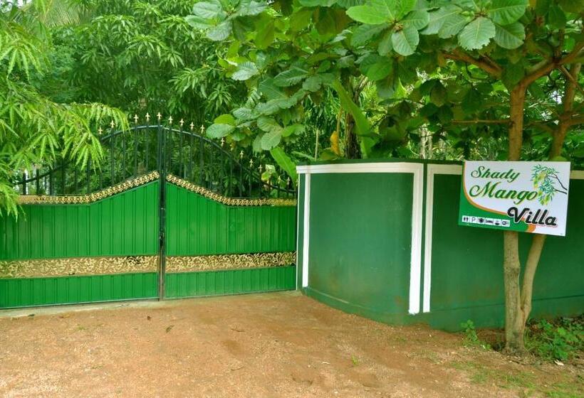 Bed and Breakfast Shady Mango Villa