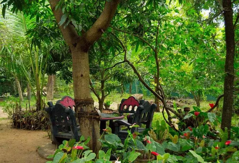 Bed and Breakfast Shady Mango Villa