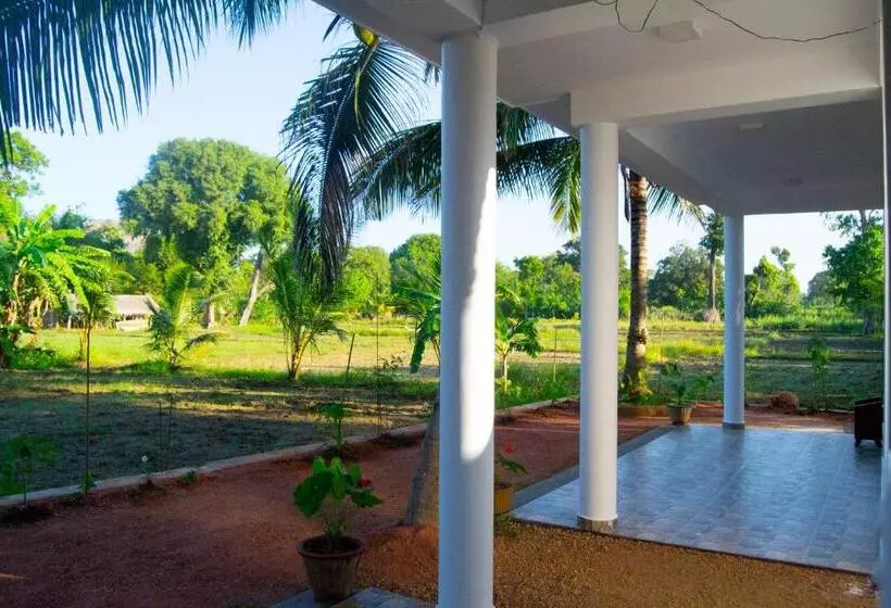 Bed and Breakfast Shady Mango Villa