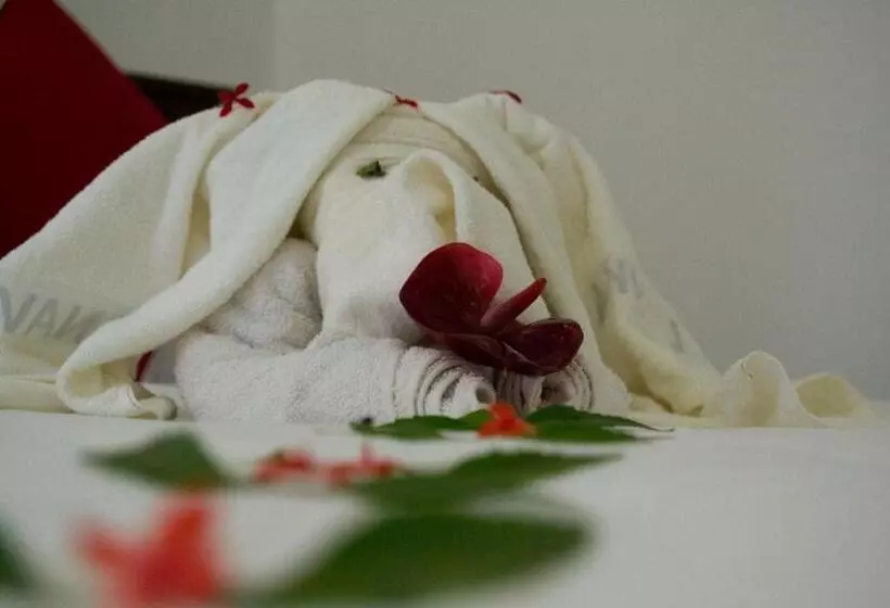 Bed and Breakfast Shady Mango Villa