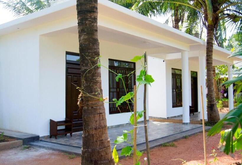 Bed and Breakfast Shady Mango Villa