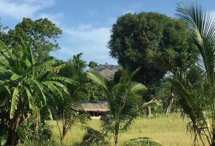 Bed and Breakfast Shady Mango Villa