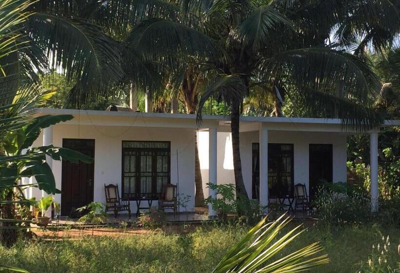 Bed and Breakfast Shady Mango Villa