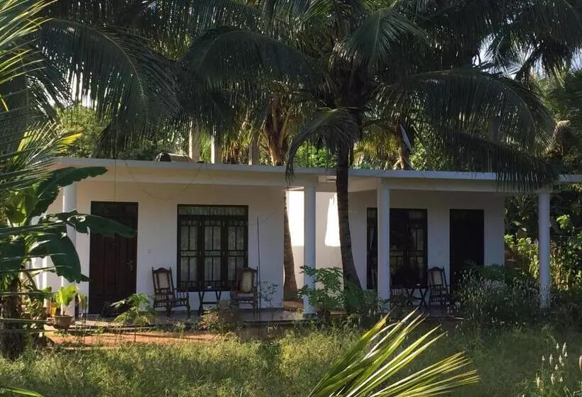 Bed and Breakfast Shady Mango Villa