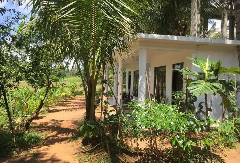 Bed and Breakfast Shady Mango Villa