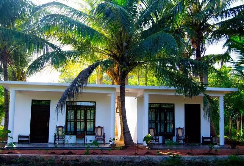 Bed and Breakfast Shady Mango Villa