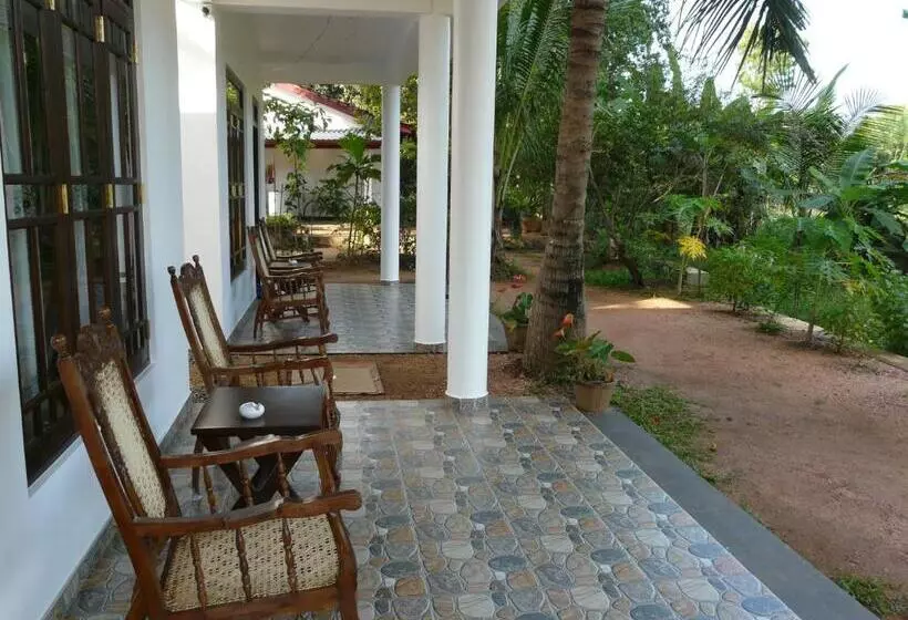 Bed and Breakfast Shady Mango Villa