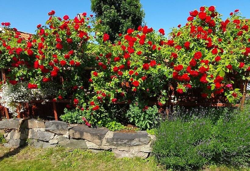 Gårdshotell Klockargården