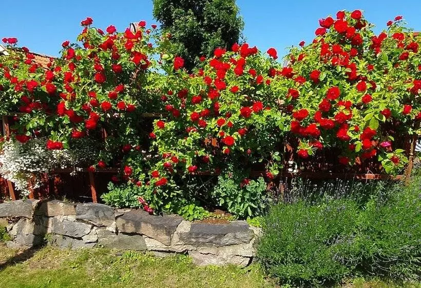 Gårdshotell Klockargården