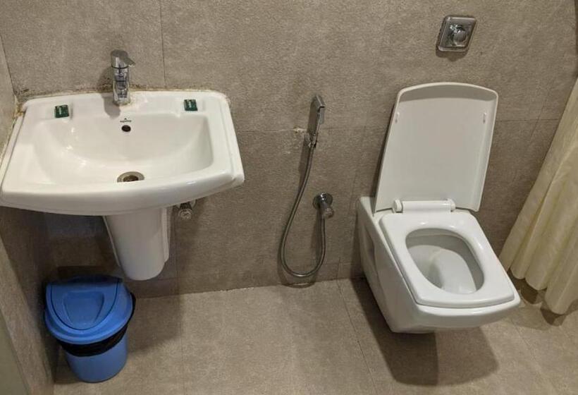 Отель Ambassador