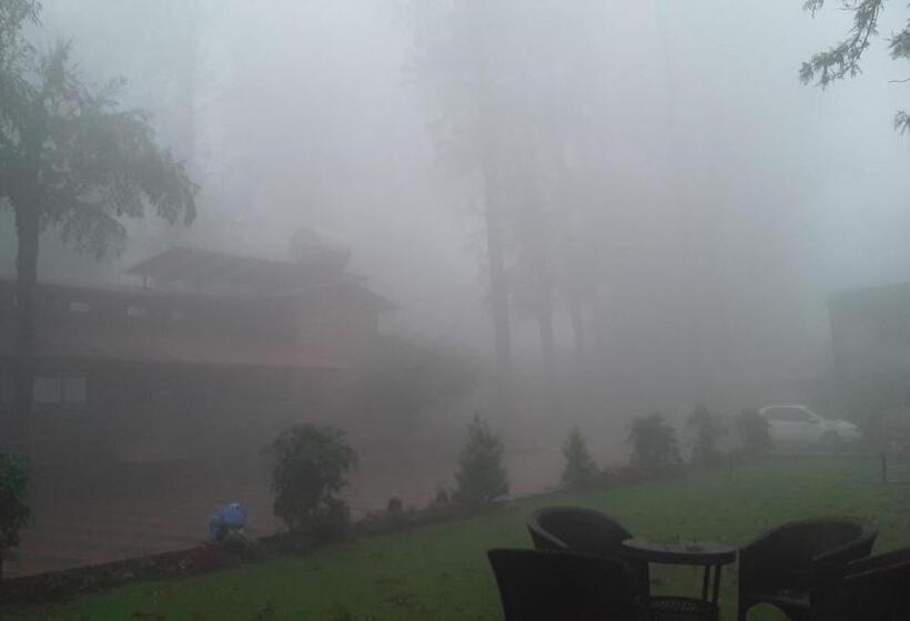 Отель Ambassador