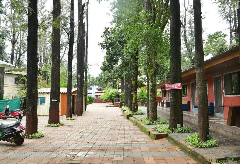 Отель Ambassador