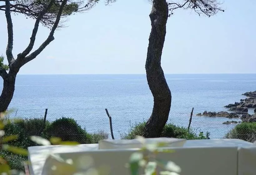 Pleta De Mar, Grand Luxury Hotel By Nature   Adults Only