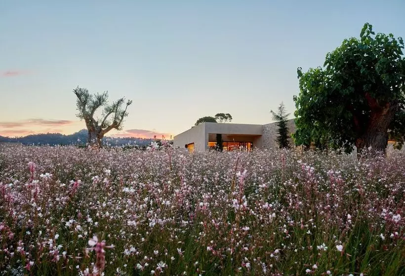 Pleta De Mar, Grand Luxury Hotel By Nature   Adults Only