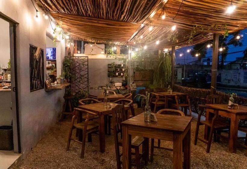 Hostel Hostal Cha Cha Cha