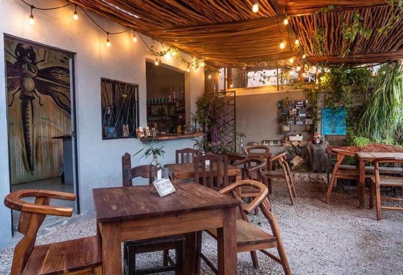 Hostel Hostal Cha Cha Cha