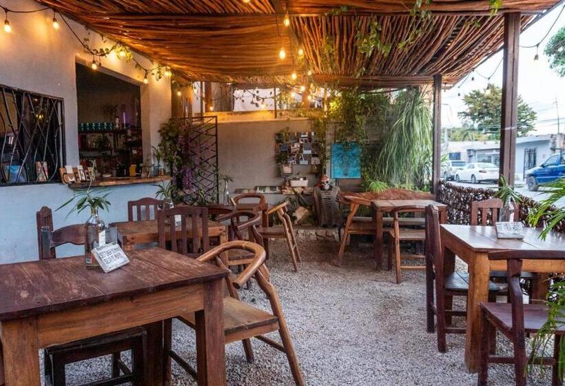 Hostel Hostal Cha Cha Cha