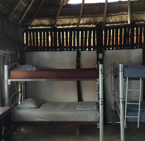 Hostel Hostal Cha Cha Cha