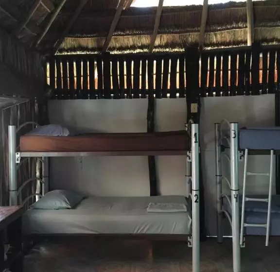 ユースホステル Hostal Cha Cha Cha