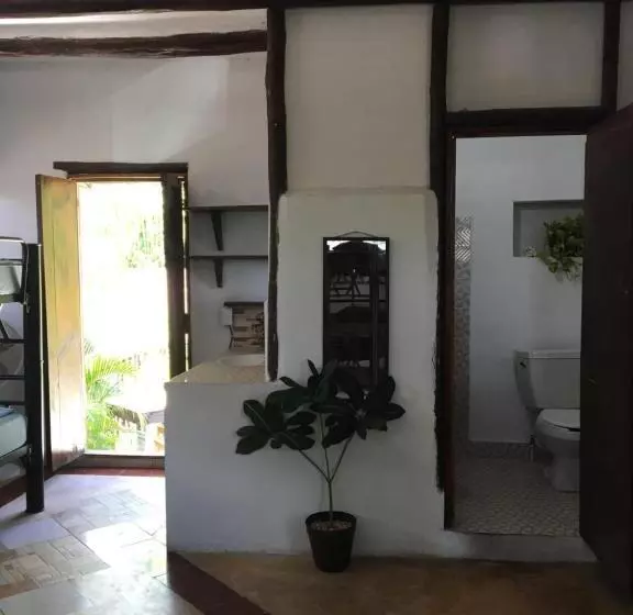 ユースホステル Hostal Cha Cha Cha