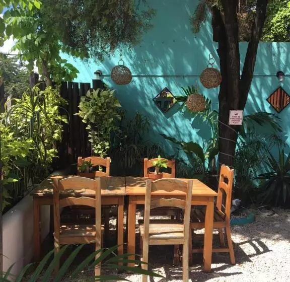 ユースホステル Hostal Cha Cha Cha