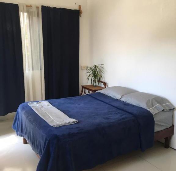 Hostel Hostal Cha Cha Cha