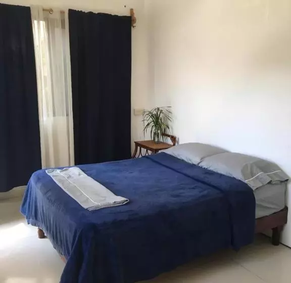 ユースホステル Hostal Cha Cha Cha