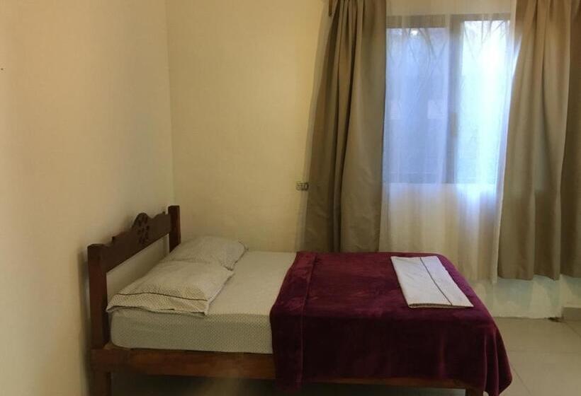 Hostel Hostal Cha Cha Cha