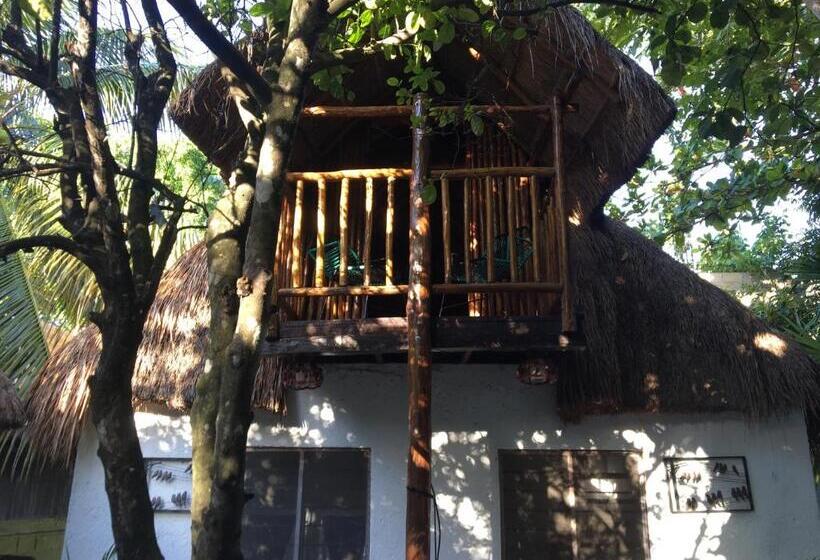 Hostel Hostal Cha Cha Cha