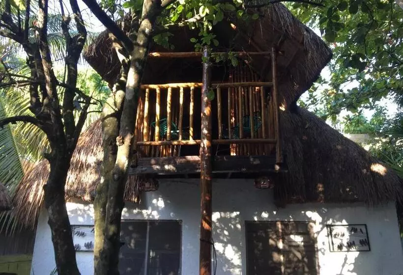 ユースホステル Hostal Cha Cha Cha