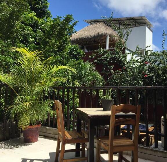 Hostel Hostal Cha Cha Cha