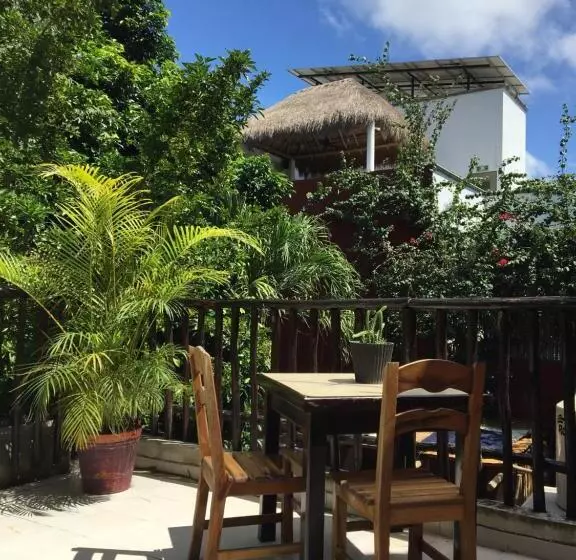 ユースホステル Hostal Cha Cha Cha