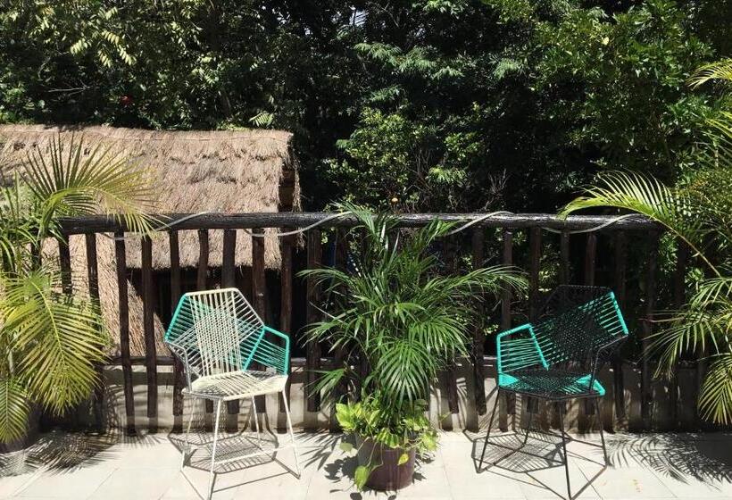 Hostel Hostal Cha Cha Cha