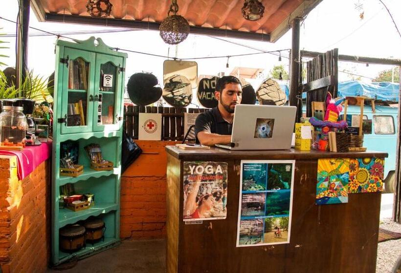 Hostel Hostal Cha Cha Cha