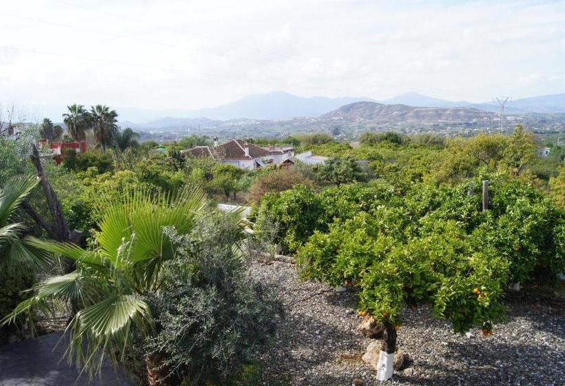 Bed and Breakfast Casa De Orange