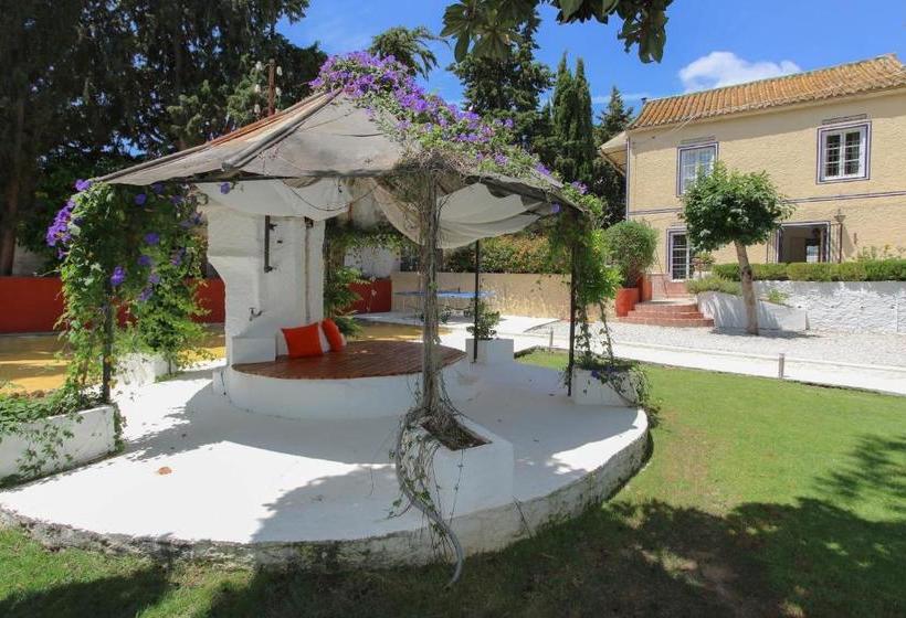 Bed and Breakfast Casa De Orange