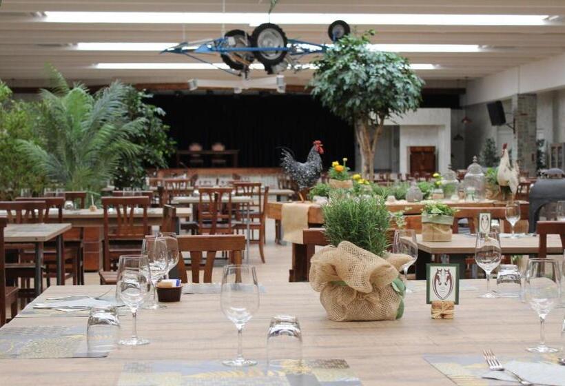 住宿加早餐  La Viscontina