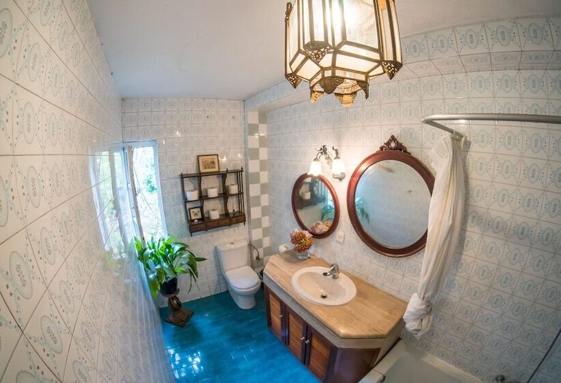 Bed and Breakfast Surf Camp San Sebastian Partyhostel