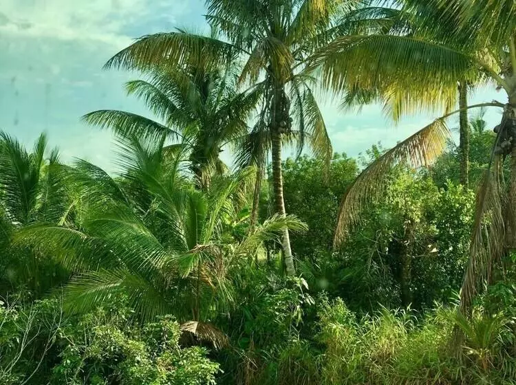 تختخواب و صبحانه Villa Dadap