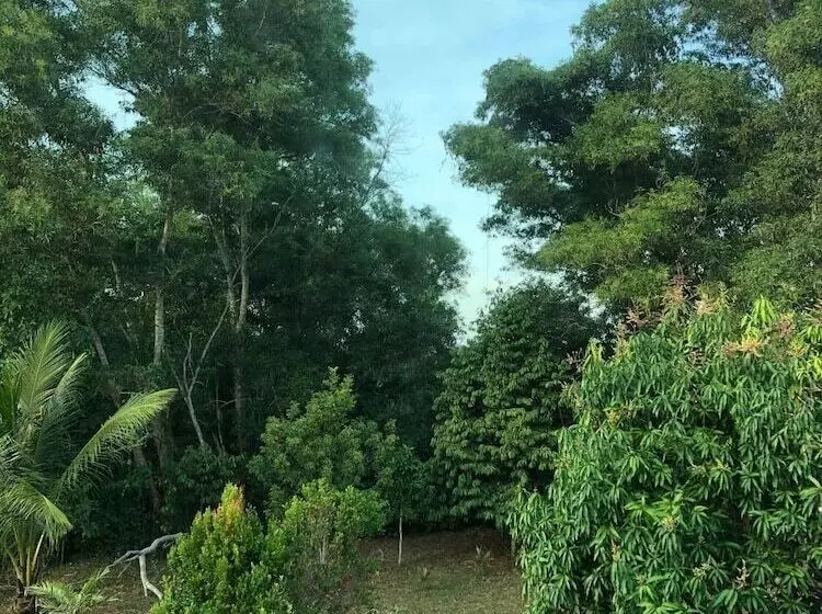 تختخواب و صبحانه Villa Dadap