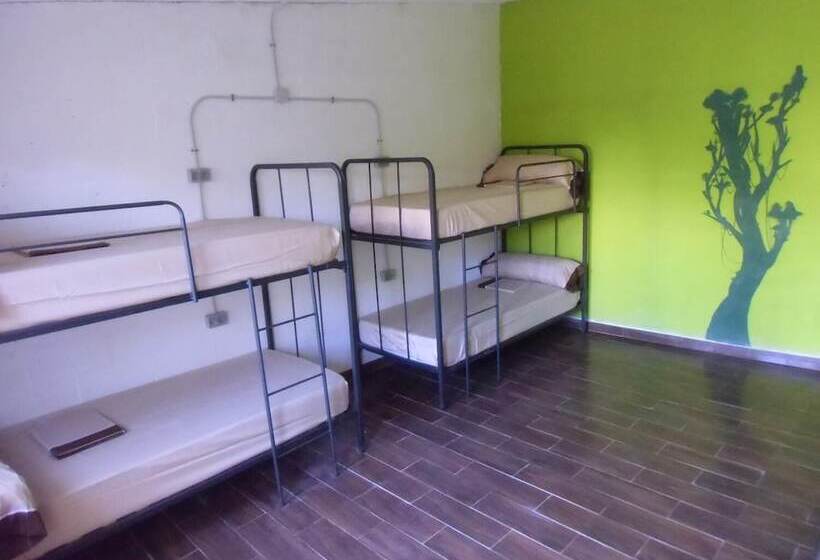 Hakuna Matata Hostel