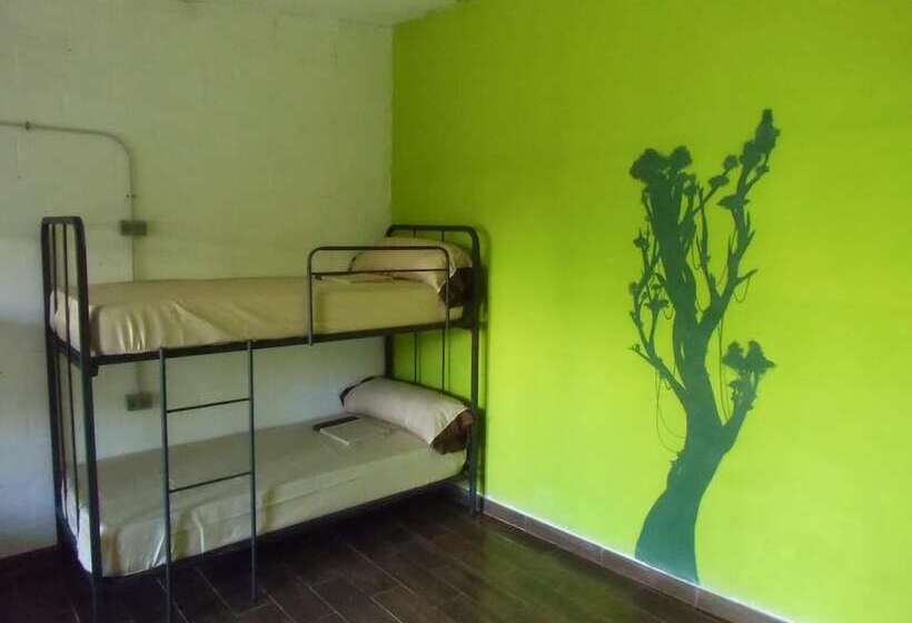 Hakuna Matata Hostel