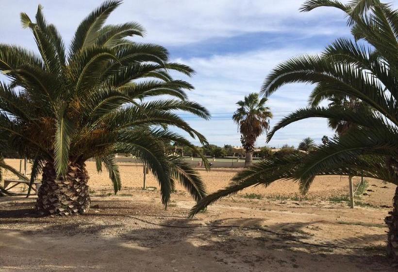 בית מלון כפרי El Rancho Los Montesinos - Torrevieja