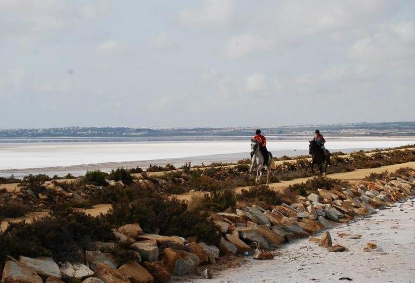 בית מלון כפרי El Rancho Los Montesinos - Torrevieja