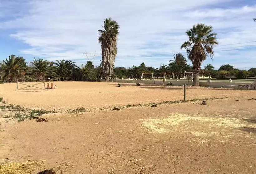 هتل El Rancho Los Montesinos - Torrevieja