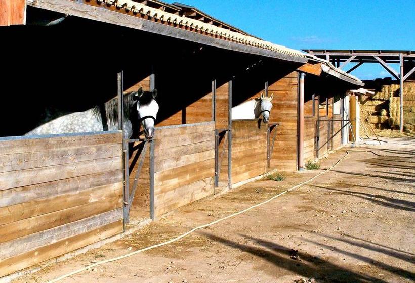 בית מלון כפרי El Rancho Los Montesinos - Torrevieja