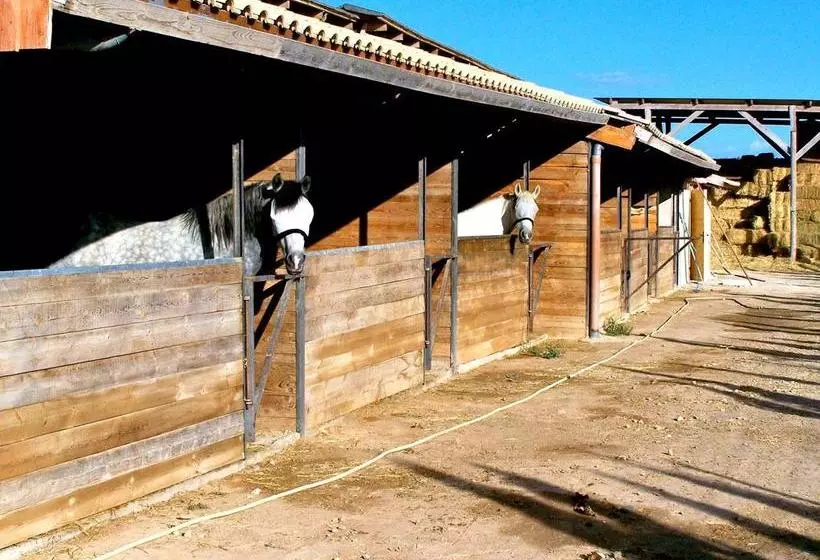 هتل El Rancho Los Montesinos - Torrevieja